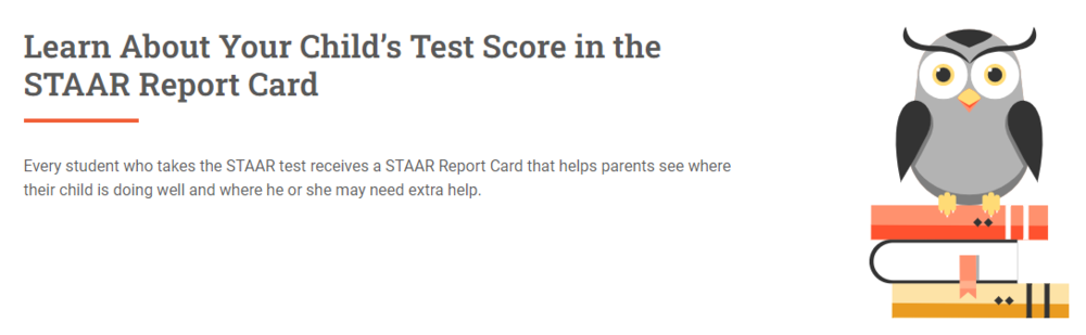 Understanding STAAR Reports